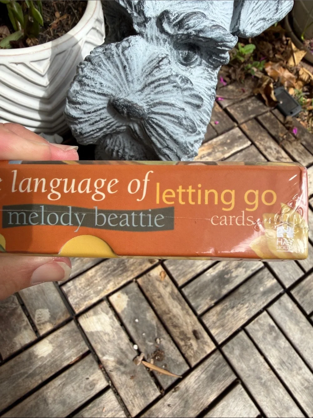 The Language of Letting Go a 50-card deck NIB Mindfulness/Meditation